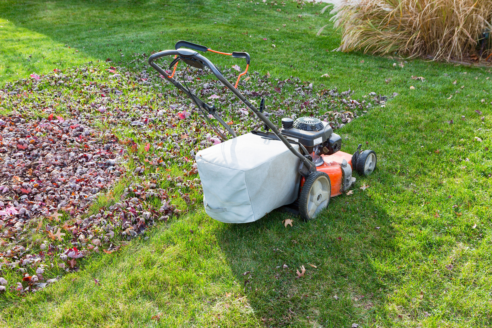 Get Ready for Leaves! Your Fall Lawn Care Checklist