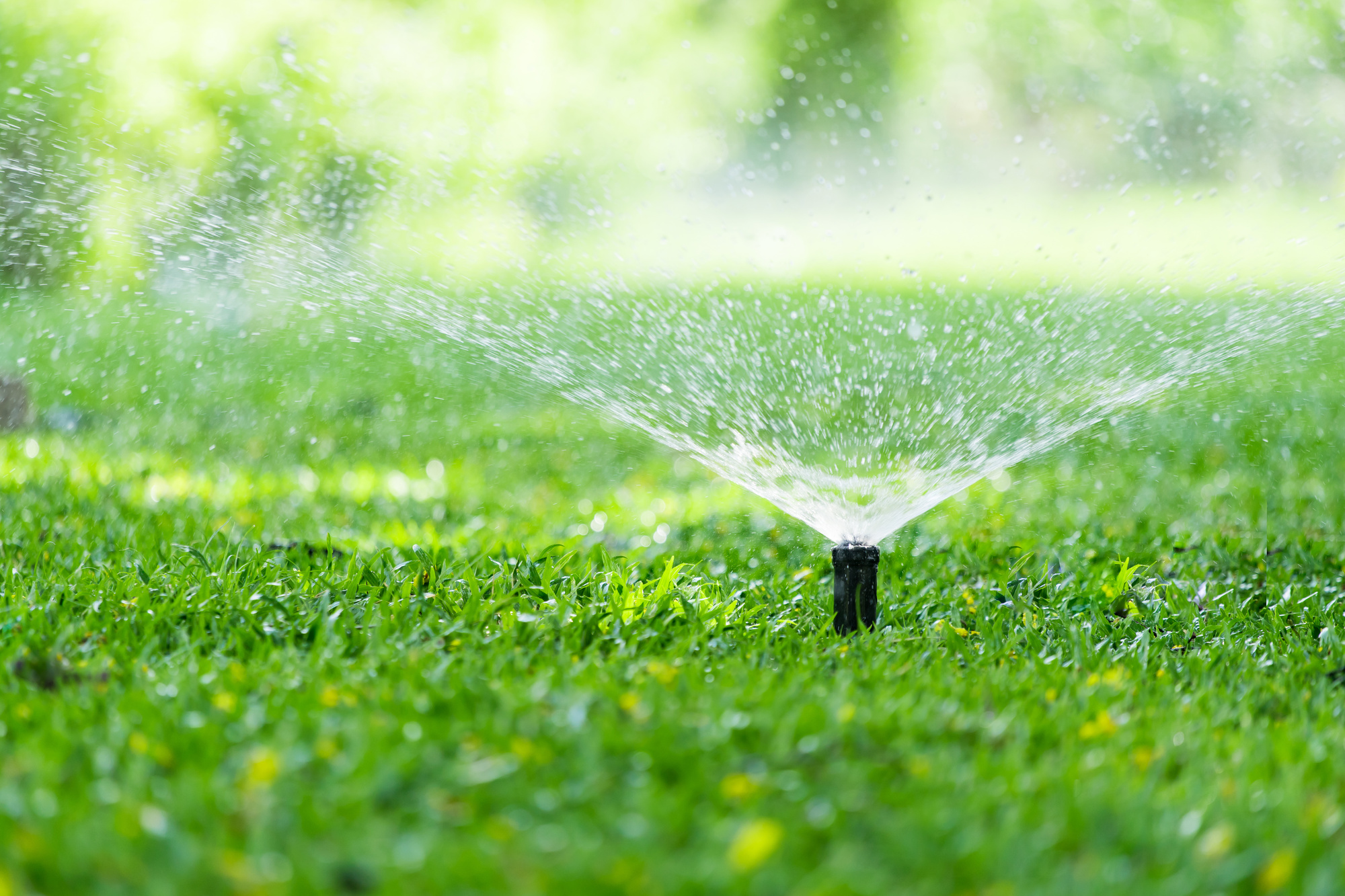 Why You Need Lawn Sprinkler System Maintenance